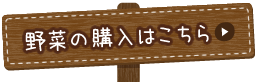 野菜の購入はこちら