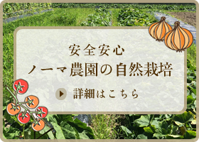 安全安心 ノーマ農園の自然栽培