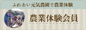 農業体験会員
